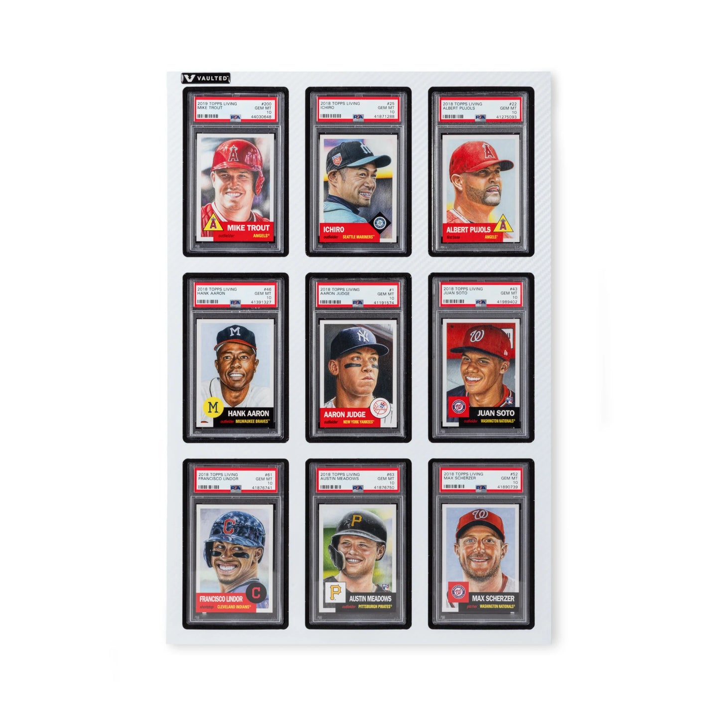 Vaulted Card Display (PSA)